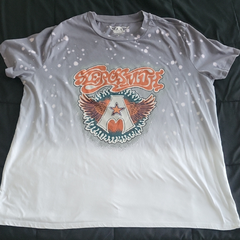 Aerosmith Graphic Tee in Gray and White